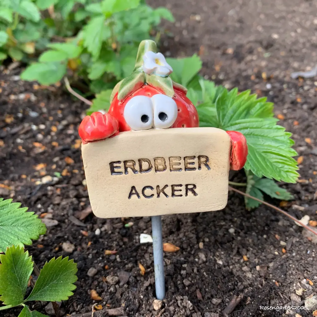 Gemüsestecker Erdbeeracker