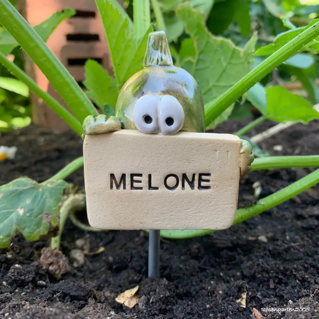 Gemüsestecker Melone