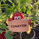 Gemüsestecker Tomaten