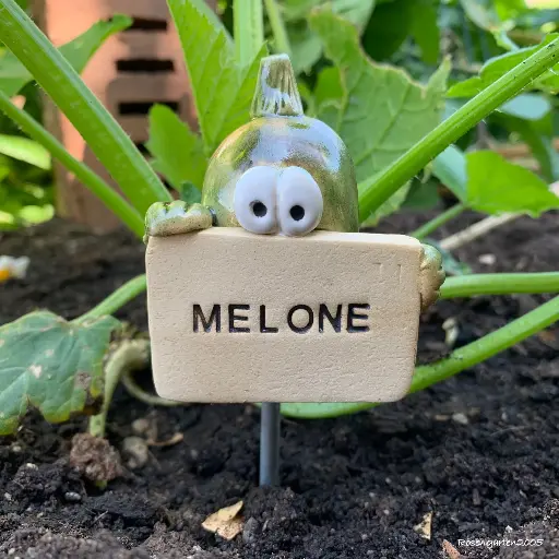 Gemüsestecker Melone