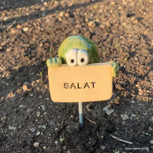 Gemüsestecker Salat