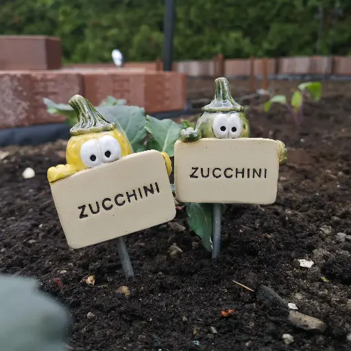 Gemüsestecker Zucchini