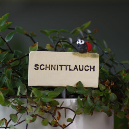 Kräuterstecker Schnittlauch