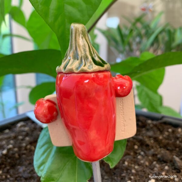 Gemüseschild Paprika – Bild 3