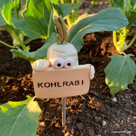 Gemüsestecker Kohlrabi