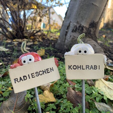 Gemüsestecker für Andrea Kohlrabi und Radieschen