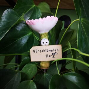 Insektentraenke Geburtsblume