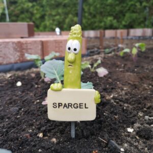 Gemüsestecker Spargel