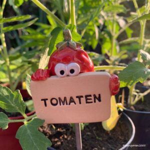 Gemüsestecker Tomaten