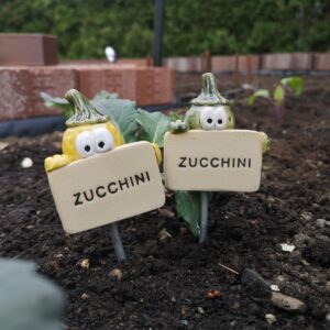 Gemüsestecker Zucchini