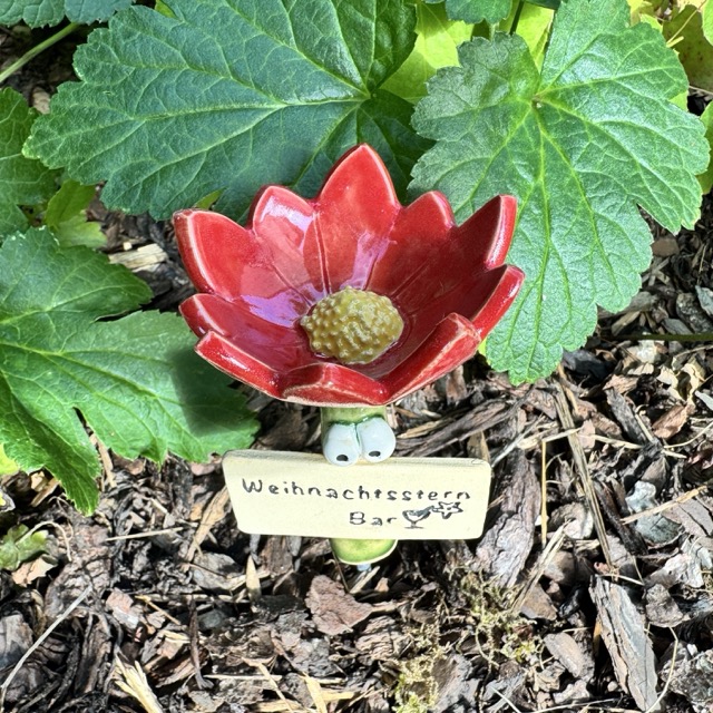 Original Bienenbar Geburtsblume Insektentränke – Bild 4