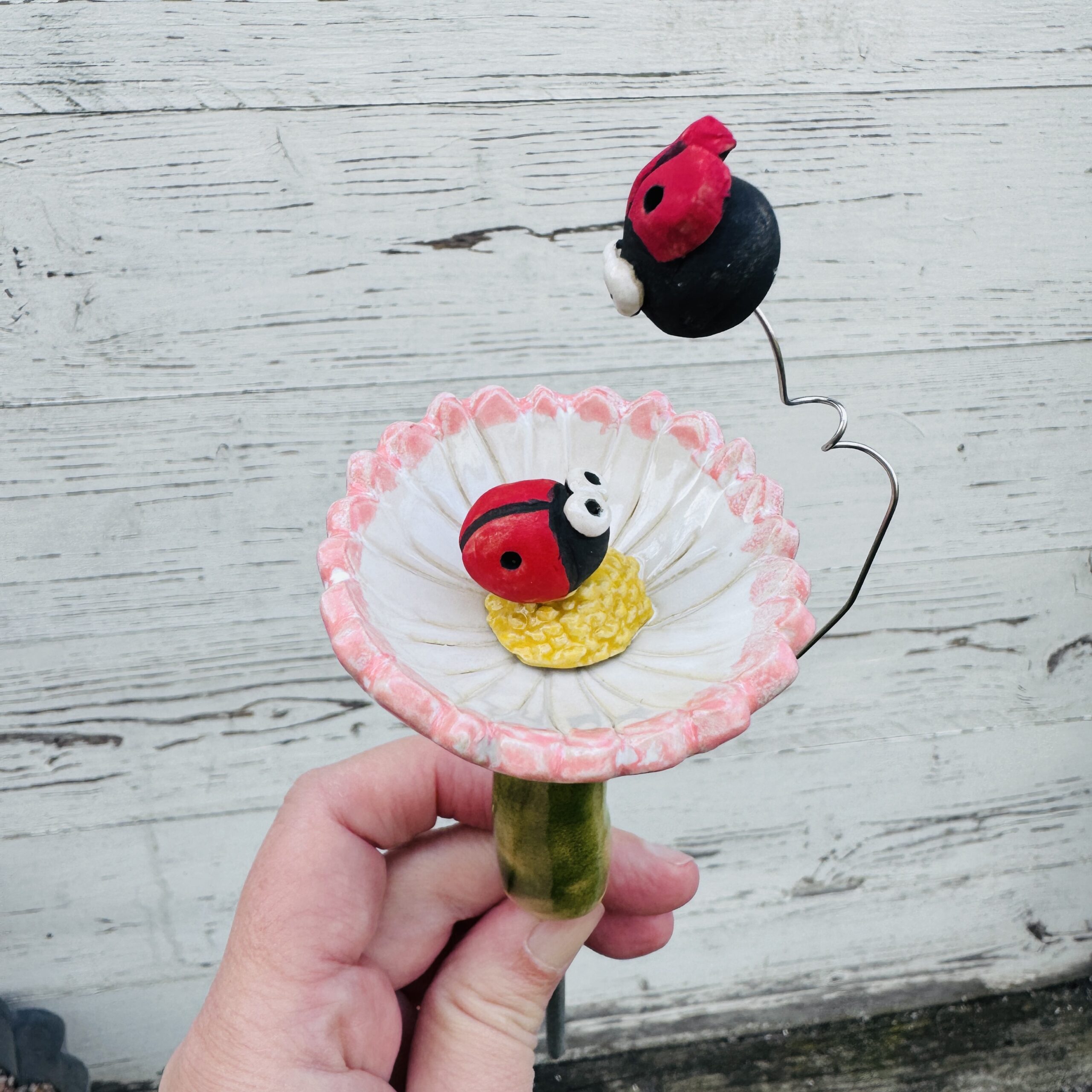 Bienenbar Insektentränke Gänseblümchen