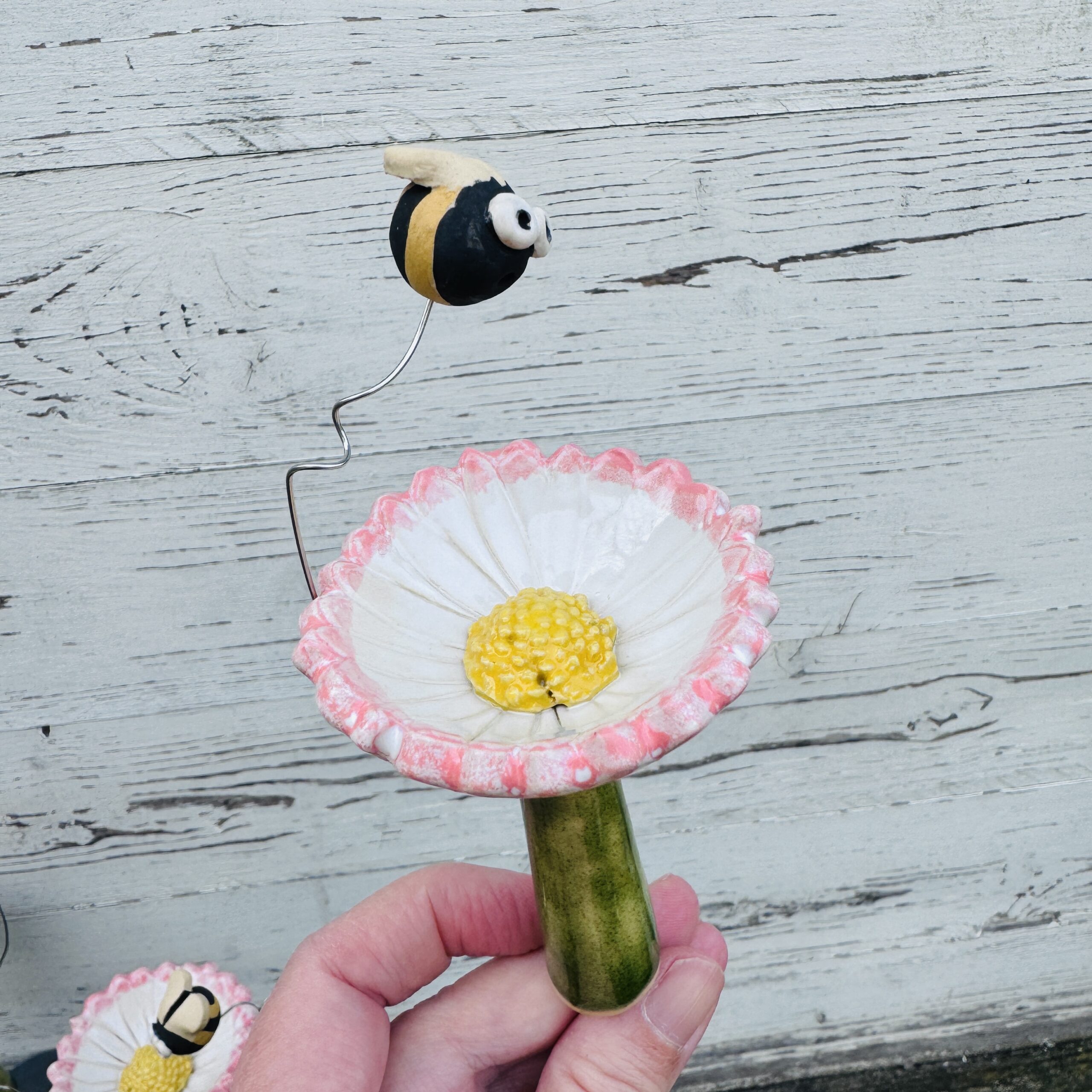 Bienenbar Insektentränke Gänseblümchen
