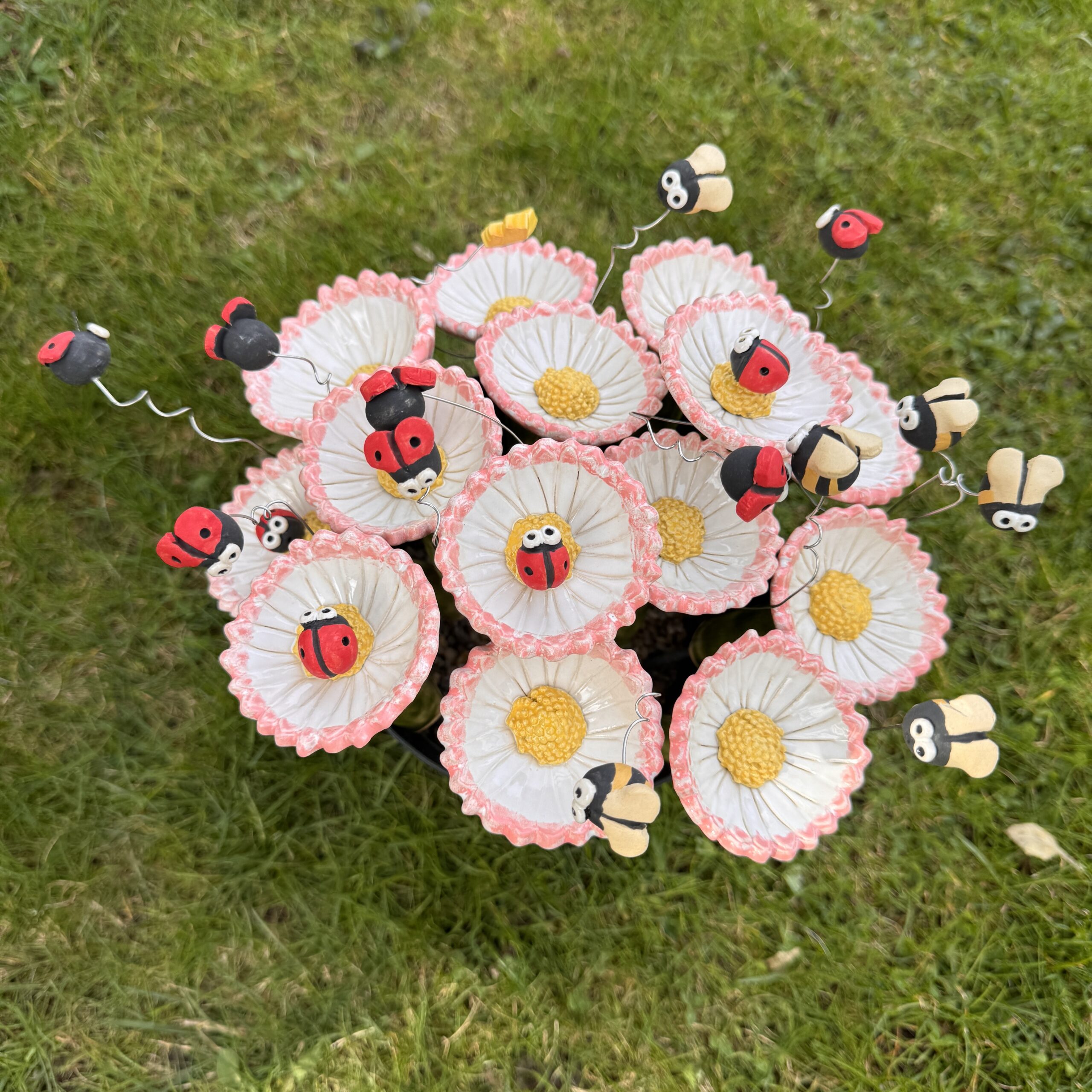 Bienenbar Insektentränke Gänseblümchen