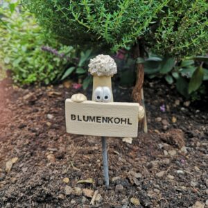 Gemüsestecker Blumenkohl