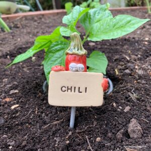 Gemüsestecker Chili