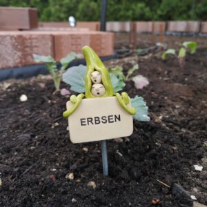 Gemüsestecker Erbsen