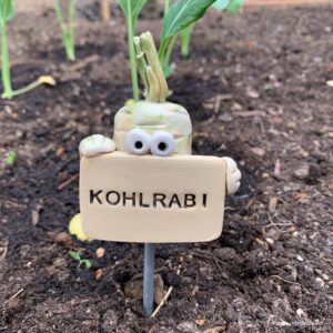 Gemüsestecker Kohlrabi