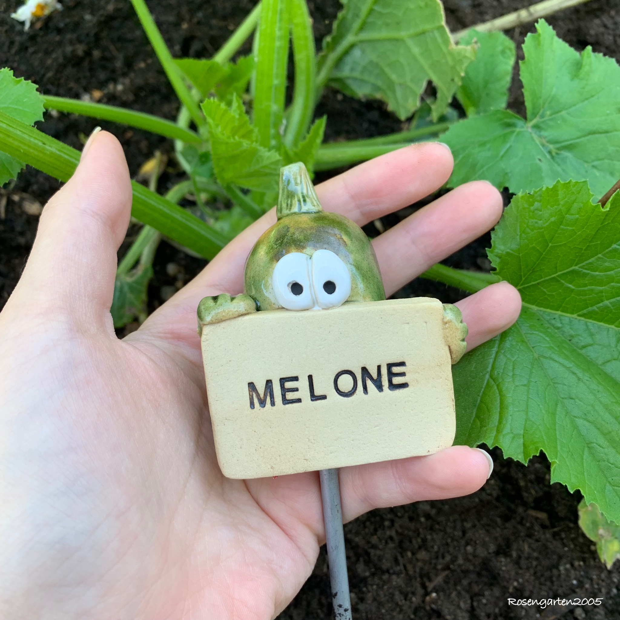 Gemüsestecker Melone