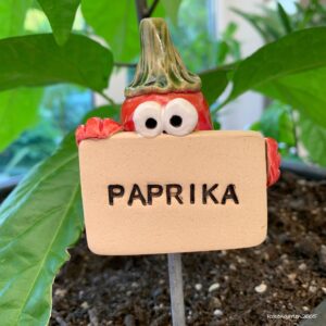 Gemüsestecker Paprika