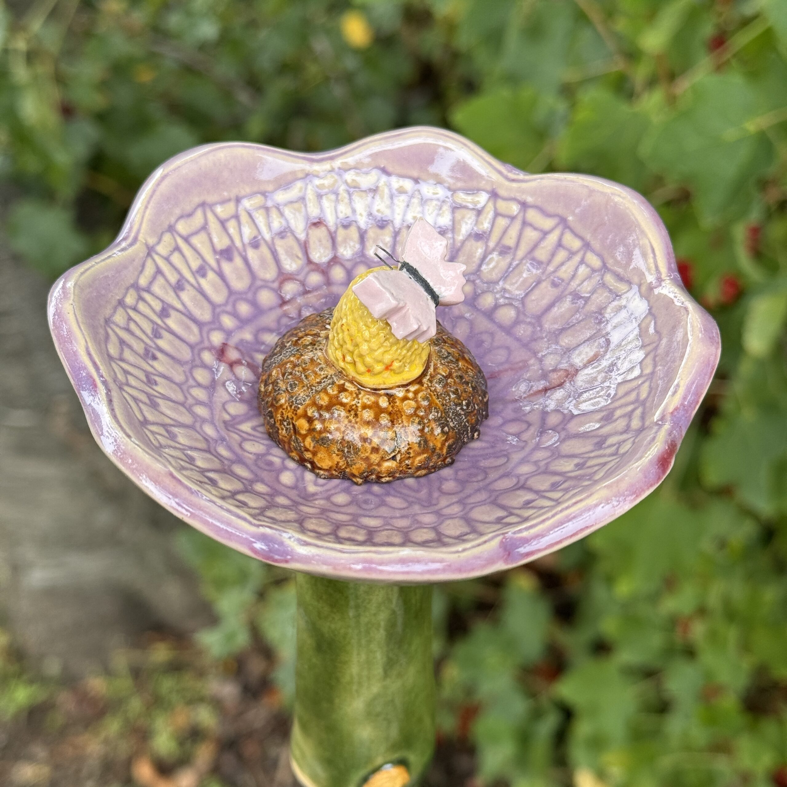 Insektentränke Blume mit Schmetterling