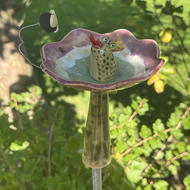 Insektentränke Blüte mit Froschkönig – Bild 4