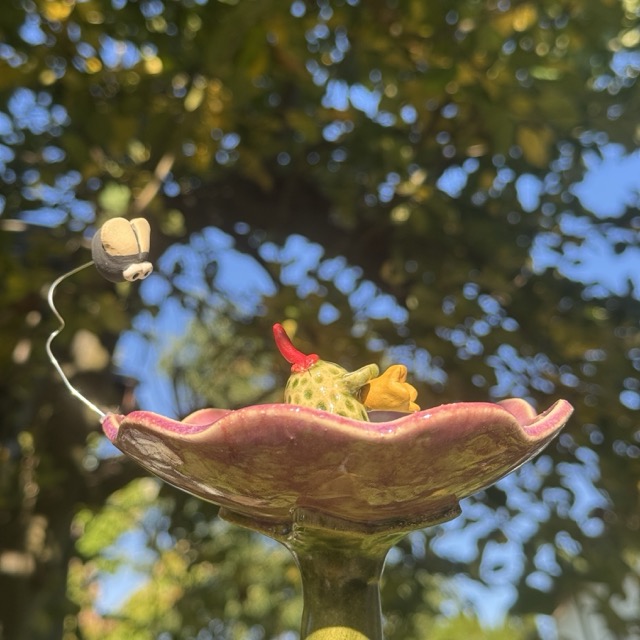 Insektentränke Blüte mit Froschkönig – Bild 7
