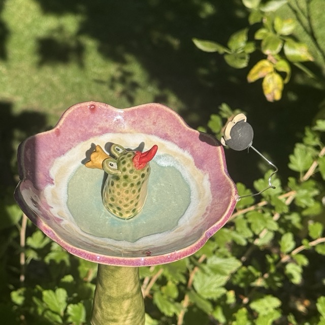 Insektentränke Blüte mit Froschkönig